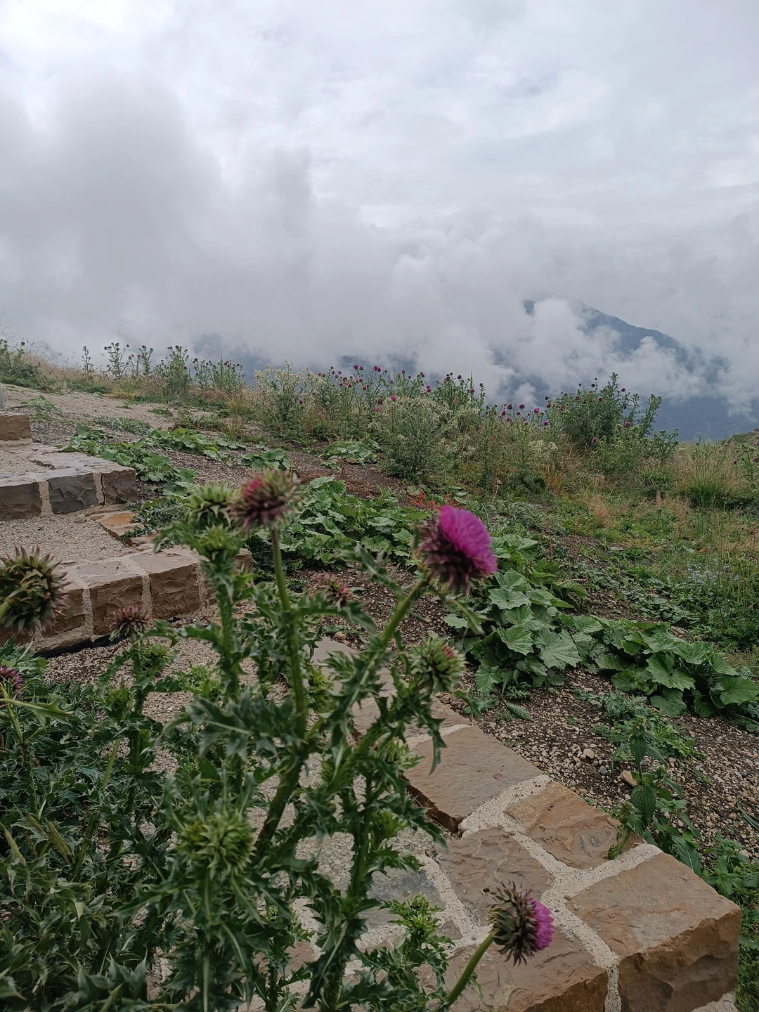 Рекомендую путешествие по Северной Осетии и Ингушетии, особенно жителям мегаполисов! Получите много новых знаний, овершенно бесценные