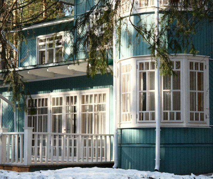 Переделкино с местным жителем и членом Союза писателей