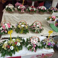 Фото отзыва 3: экскурсия "Добро пожаловать в волшебный Загреб!"