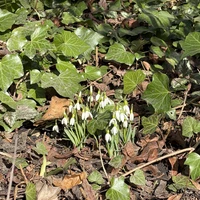 Фото отзыва 1: экскурсия ""