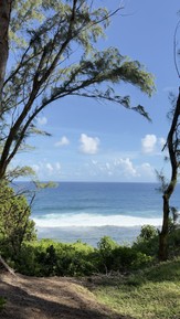 Фото отзыва 2: экскурсия "Чудеса природы на юге Маврикия"