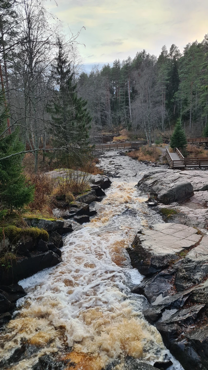 Прекрасная экскурсия! Провели отличный день в обществе Надежды и природы Карелии! Дополнительный плюс – практически полное
