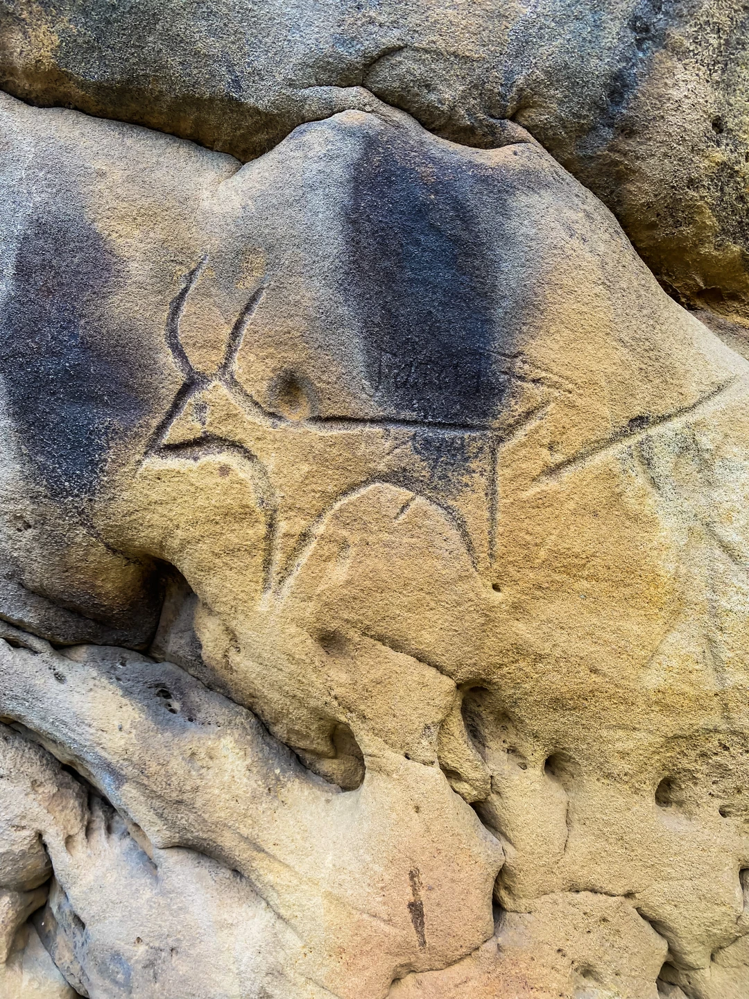 Очень понравилось. Тимур прекрасный рассказчик, владеющий материалом. Ущелье особенно волшебное. Сюда не возят группы, поэтому есть