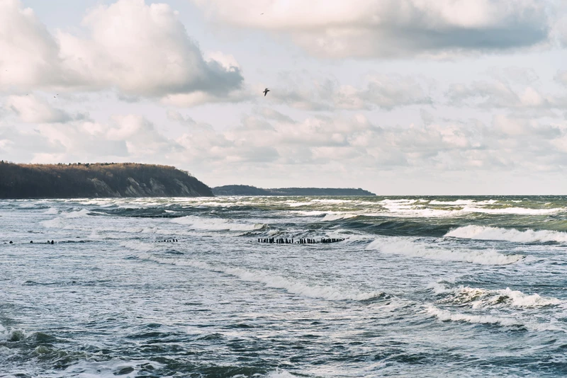 На автобусе по знаковым локациям янтарного края: Калининград, Светлогорск, Янтарный, Зеленоградск