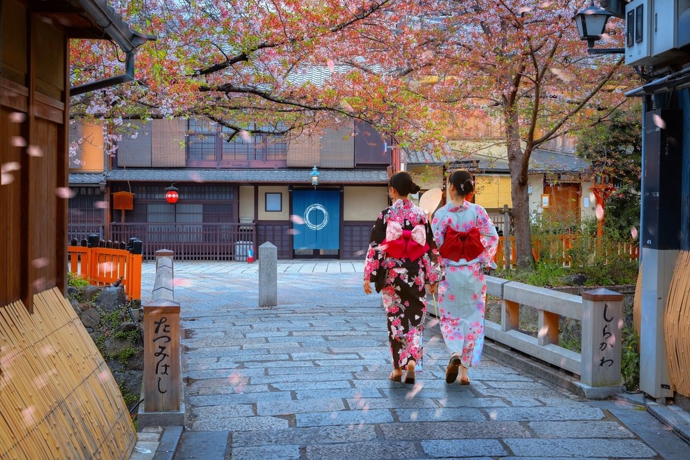 Весна в Японии: большое путешествие в период цветения сакуры (4/7)
