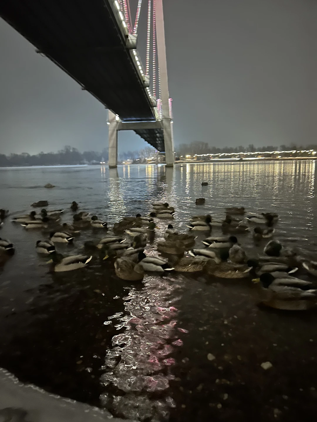 Прекрасно провели два часа в прекрасном городе с Еленой, тоже прекрасной)))) Получили ответы на свои вопросы