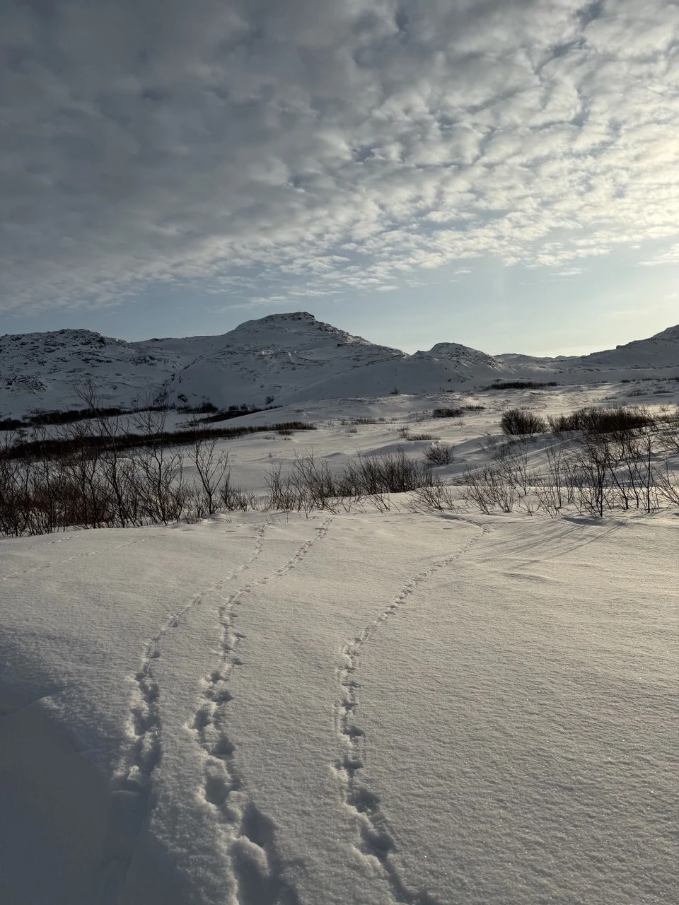 Мы хотим выразить огромную благодарность за наш прекрасный отпуск! В первую очередь нашему координатору Ксении!