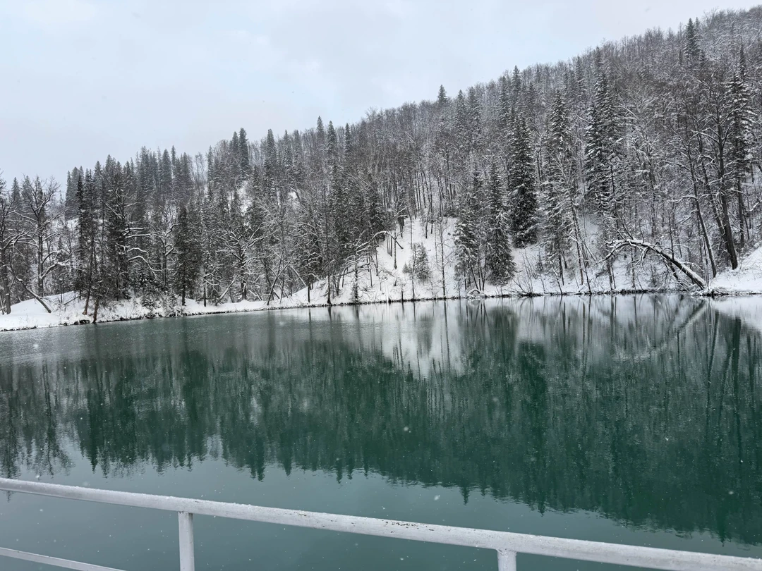 Огромное спасибо Елене за проведенную экскурсию! Интересный рассказчик, опытный водитель! Даже зимой Елена нам интересно показала