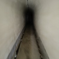 reviews img