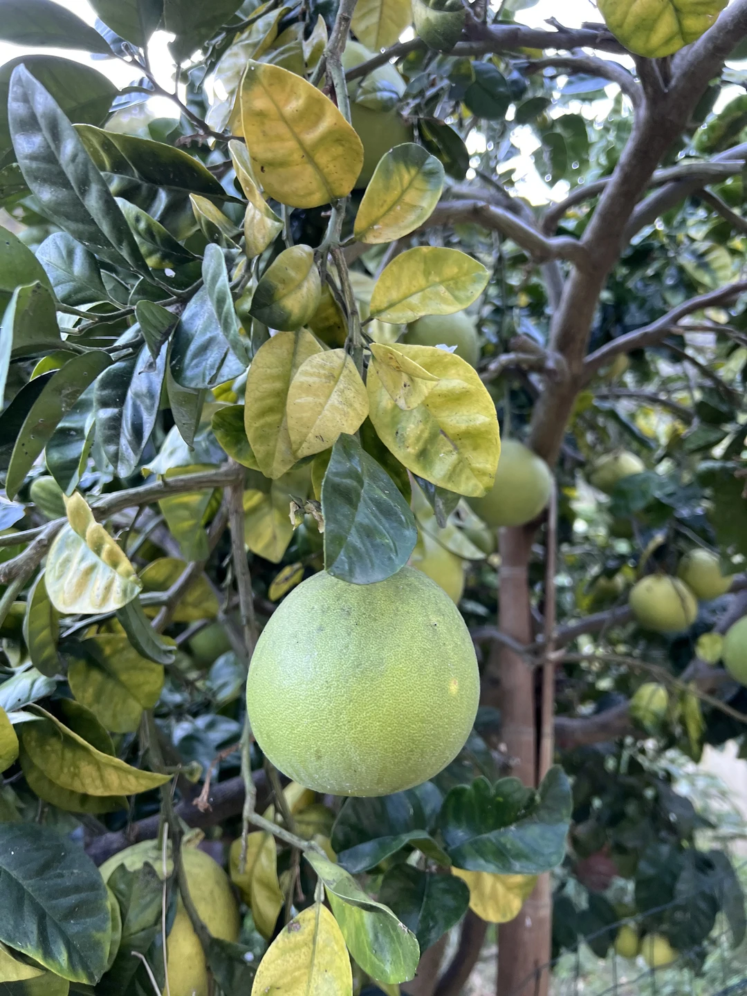 Супер прогулка, нам с дочкой очень понравилось, Екатерина молодец, рассказала и показала нам красоту. Узнали много