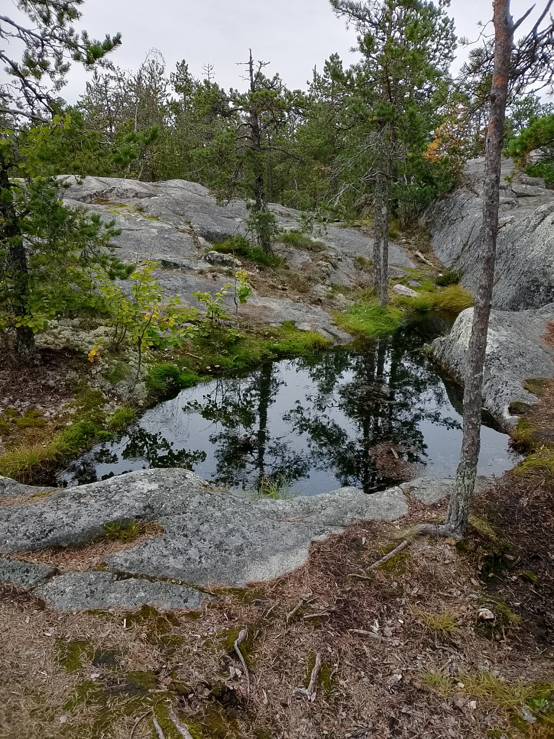 Место силы Карелии (Татьяна)