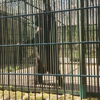 Фото отзыва 1: экскурсия "Беловежская пуща: по дороге к наследию предков — из Бреста"