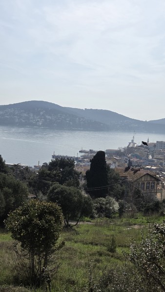 отличный побег на принцевы острова, очень повезло с погодой!!! Было супер!!!