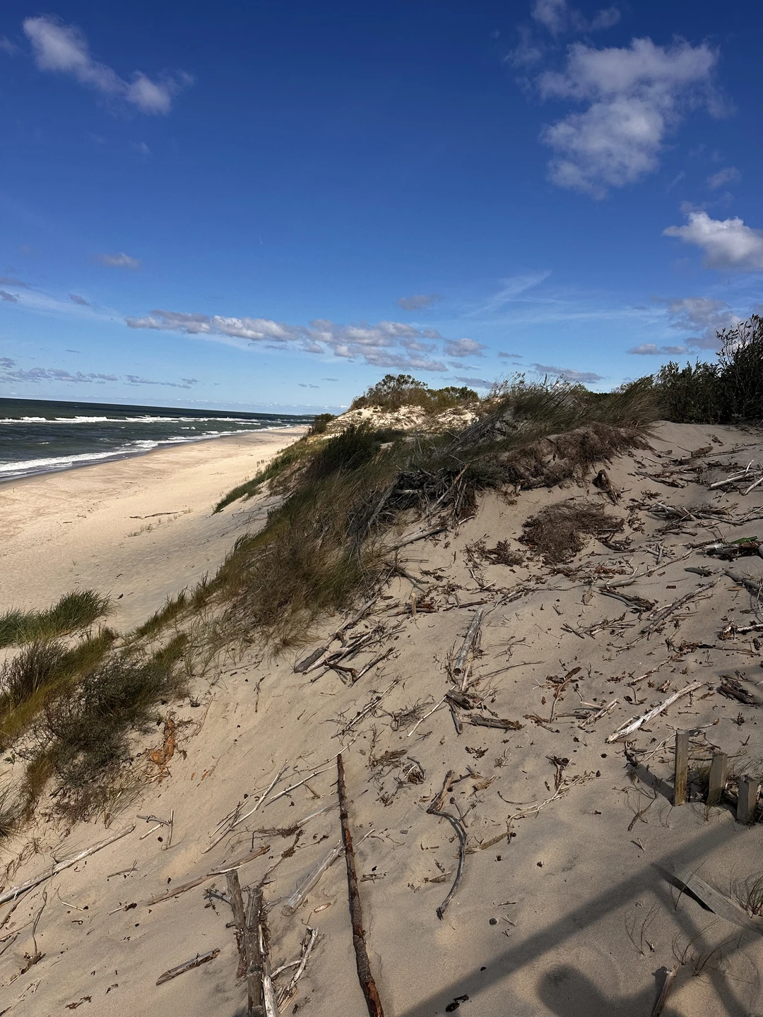 Просто великолепный день,проведенный в компании Дианы. Супер доступно была преподнесена информация. Однозначно рекомендую❤️