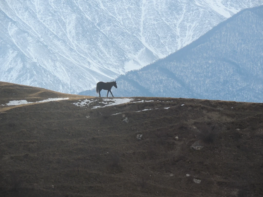 Отличная экскурсия на весь световой день. Интересный, содержательный рассказ об истории края. Посещение всех запланированных достопримечательностей