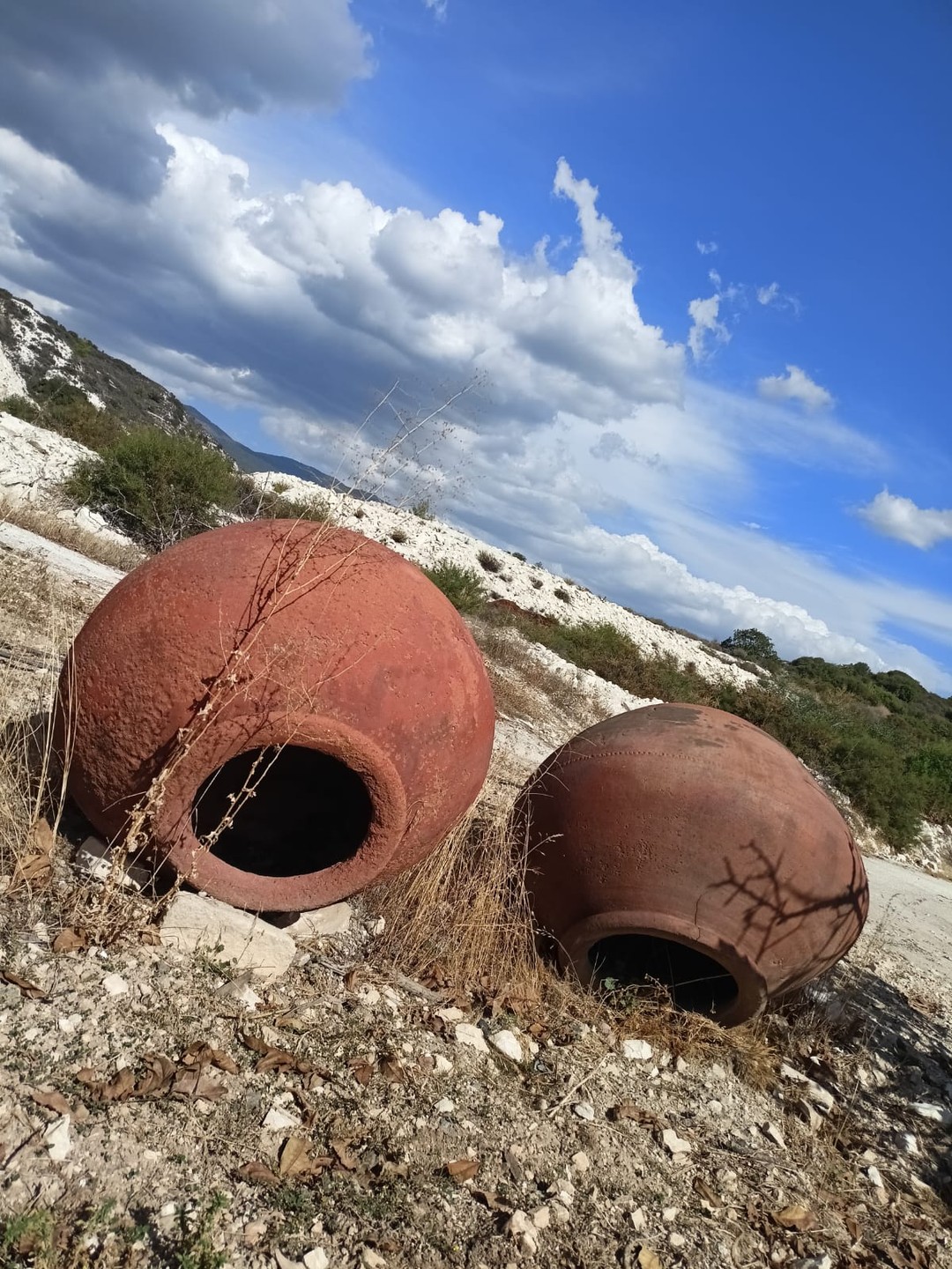 Прекрасно провели время, очень интересная экскурсия. Дегустации, местная кухня, прогулка по Кипрской деревушке - всё было