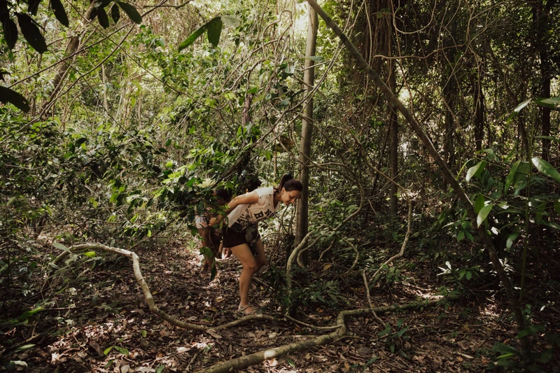 Восхождение на гору по джунглям острова Фукуок