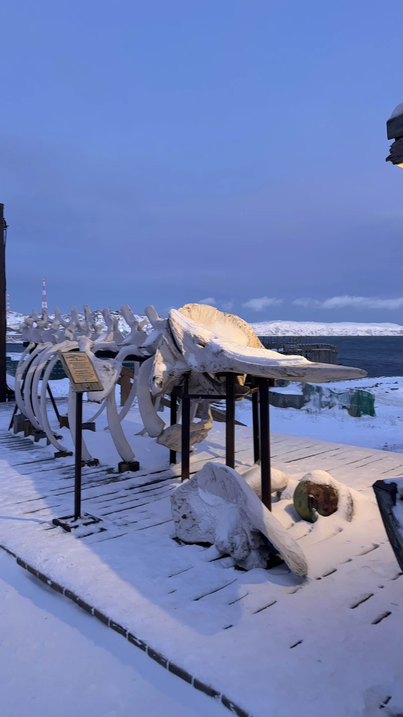 Был гид Александр, на комфортной машине. Очень приятный баритон рассказывал обо всем что связано с Териберкой
