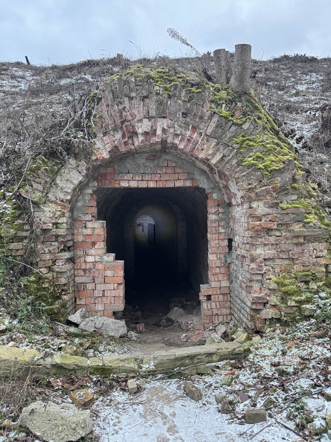 Групповая экскурсия по заброшенной части Брестской крепости (Екатерина)