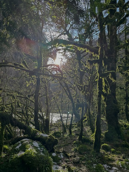 Нашим экскурсоводом был Славик, и это было одно из лучших наших путешествий. На экскурсии была создана