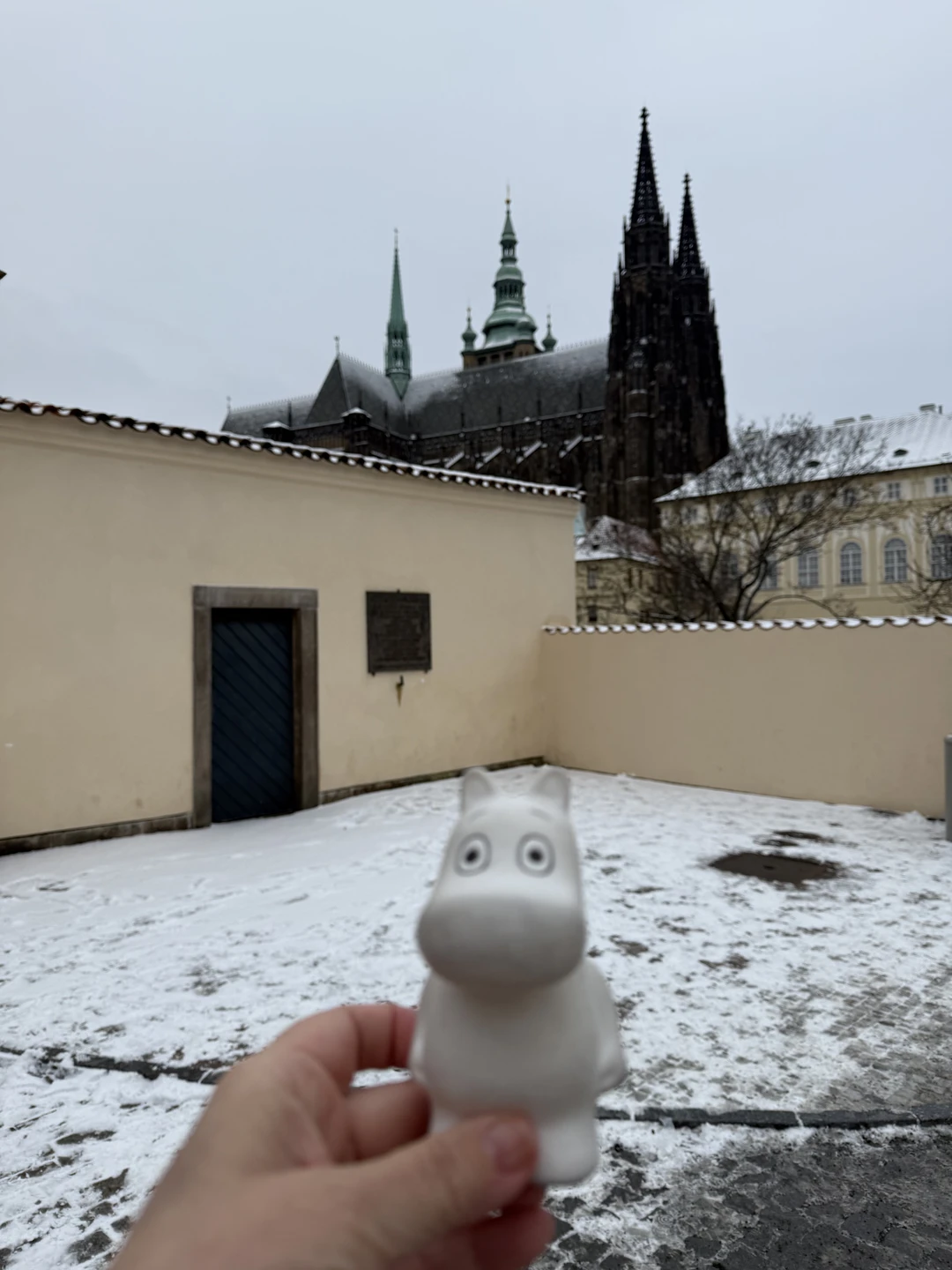 Спасибо большое нашему «гиду сегодняшнего дня» Елене! ❤️