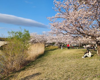 Тоёхаси и парк Хамамацу