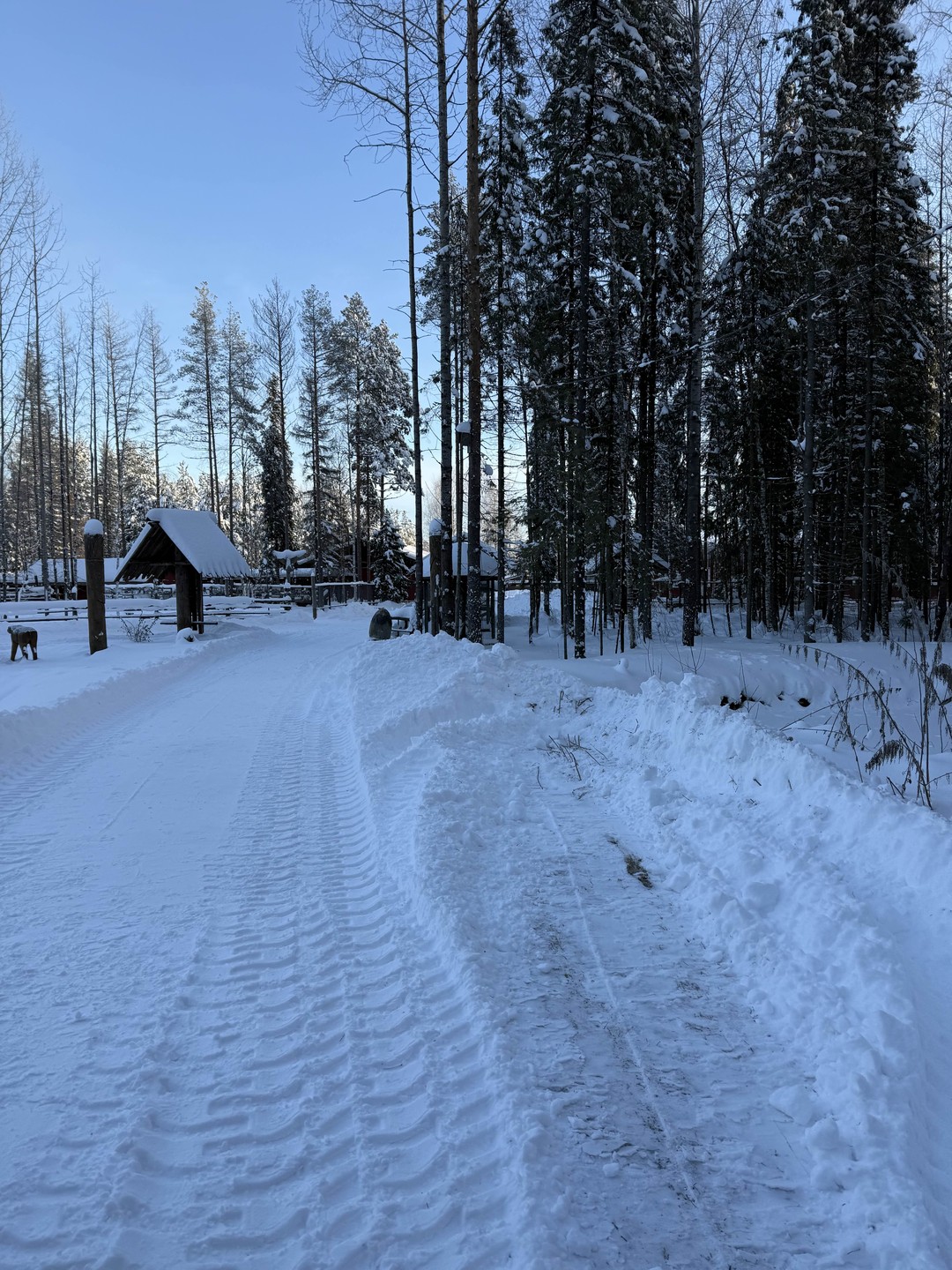 Все понравилось!)