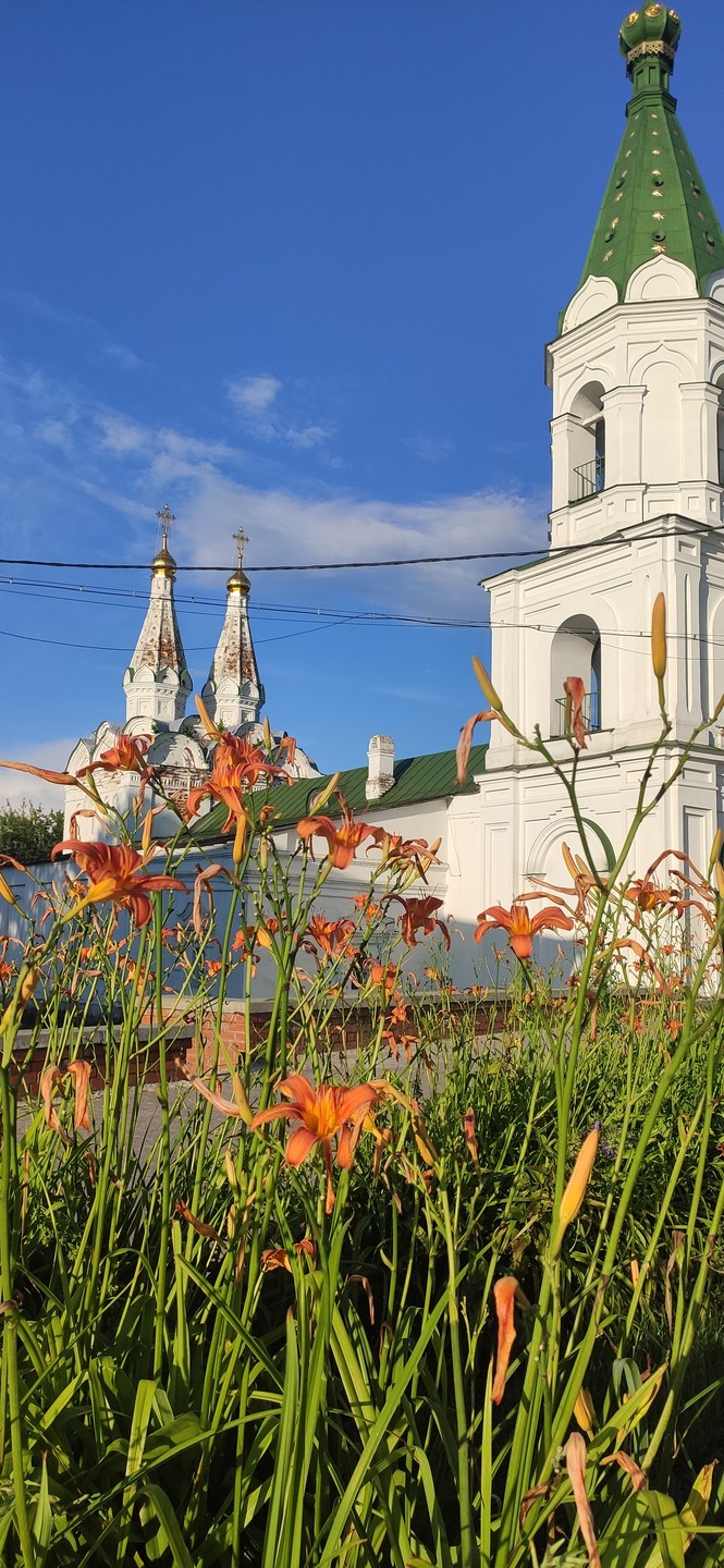 Рязань сквозь века (Василина)