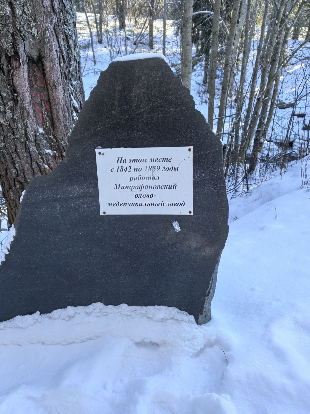 Огромное спасибо Маргарите. Маргарита, показала нам много красивого и рассказала много интересной информации. После такой поездки