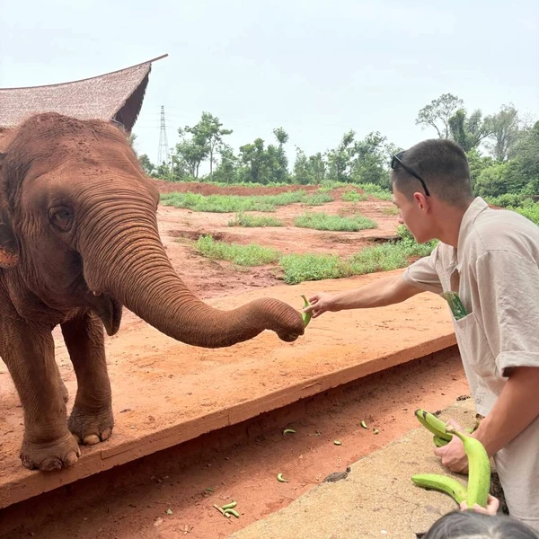 В сафари-парк «Дуншань» из Саньи (всё включено)
