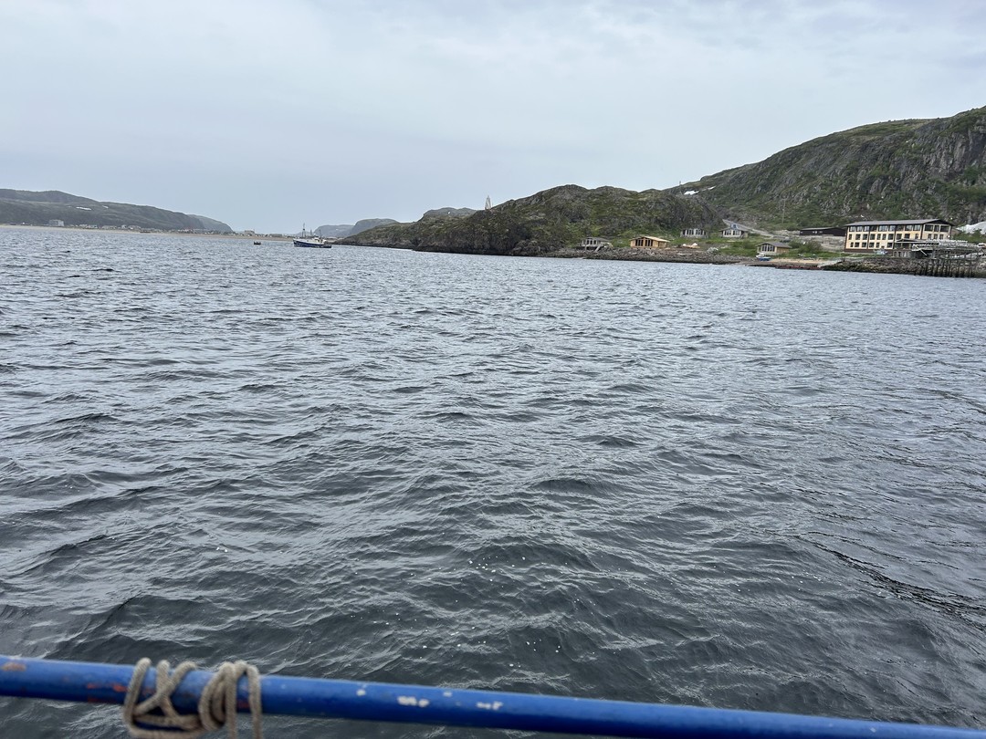 Морская прогулка из Териберки - в мини-группе (Кристина)