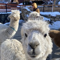 Фото отзыва 7: экскурсия "Путешествие в&nbsp;«Долину нарзанов»"