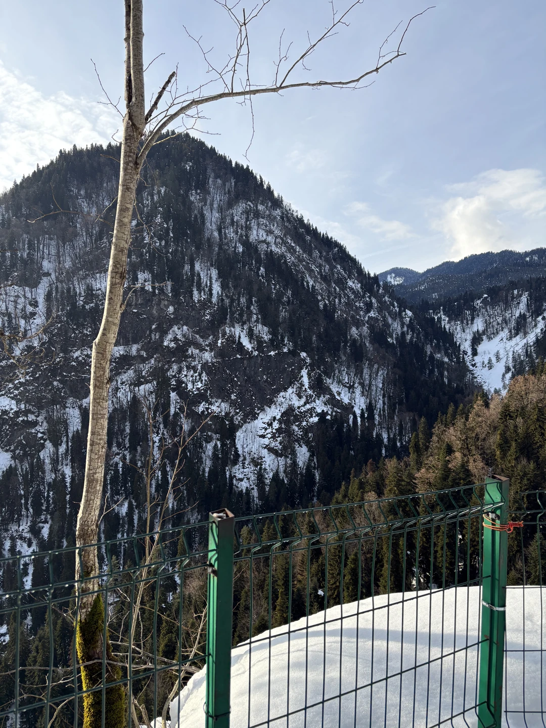 Индивидуальная экскурсия по солнечной Абхазии (софья)