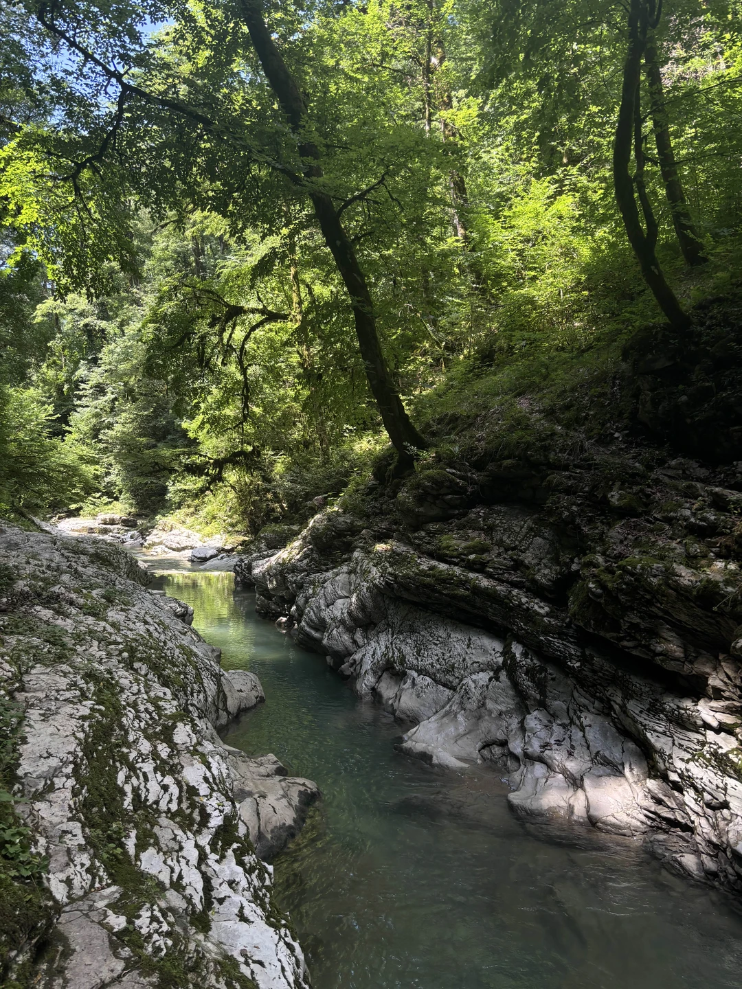 Ходили трекинг с племянницей 11 лет, с гидом Семеном, это восторг! Для тех, кому недостаточно вида