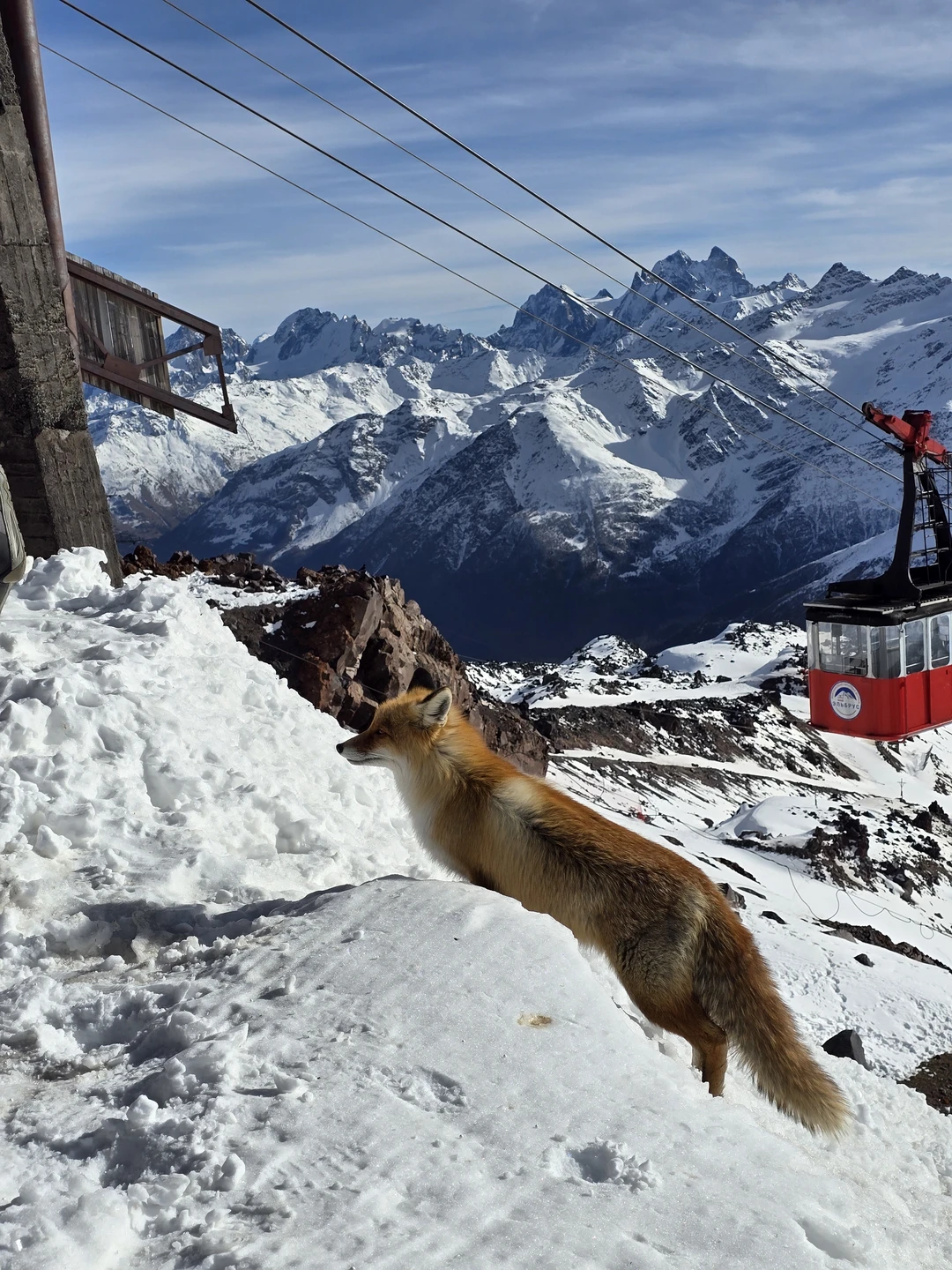 Спасибо за экскурсию Вадиму. Было очень много интересной информации, и много потрясающих пейзажей. Советую!