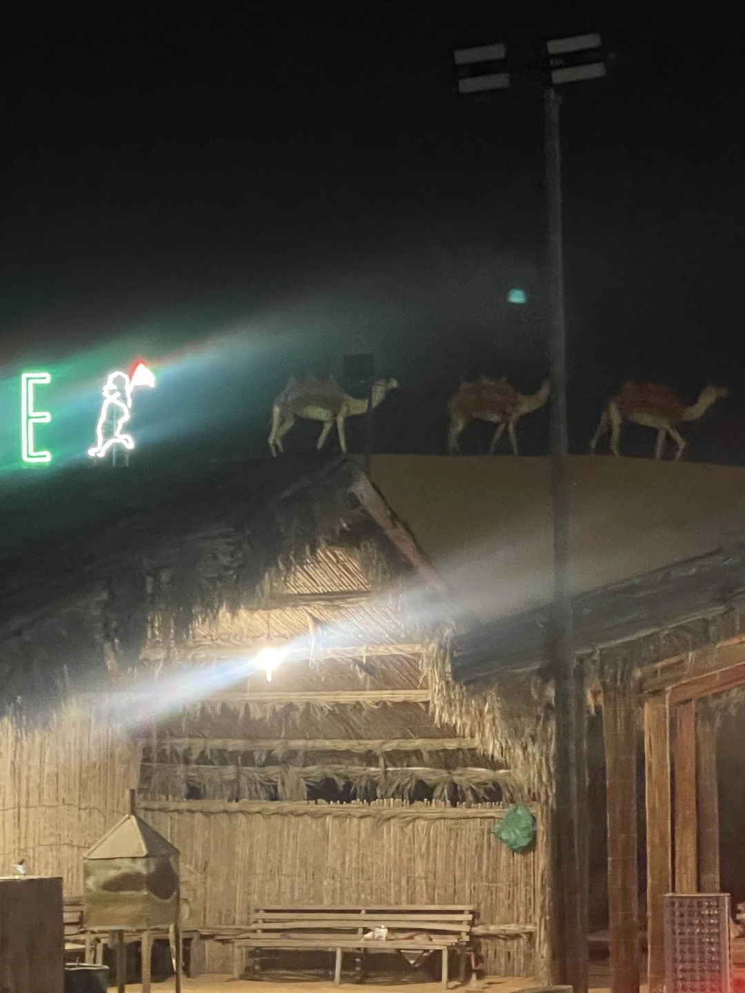 Водитель приехал вовремя, покатались по красивой пустыне на закате, затем, поехали в деревню, посмотрели шоу, бесплатно