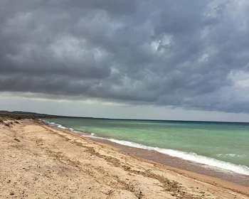 Каньоны Кок-Мойнок и Ак-Сай, охота с беркутом