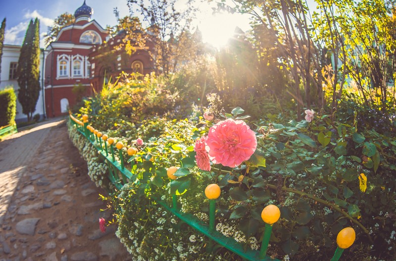 Фото экскурсии 5