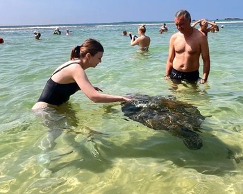 Черепашья ферма и снорклинг