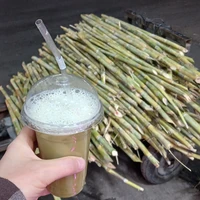 Фото отзыва 1: экскурсия "Фуд-прогулка по Каиру для настоящих гурманов"