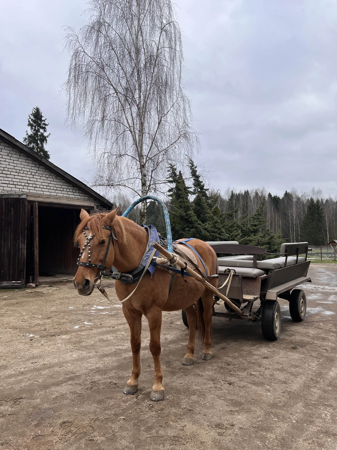 Все очень понравилось. Экскурсовод интересно рассказывала, все дружелюбные. Порекомендую друзьям