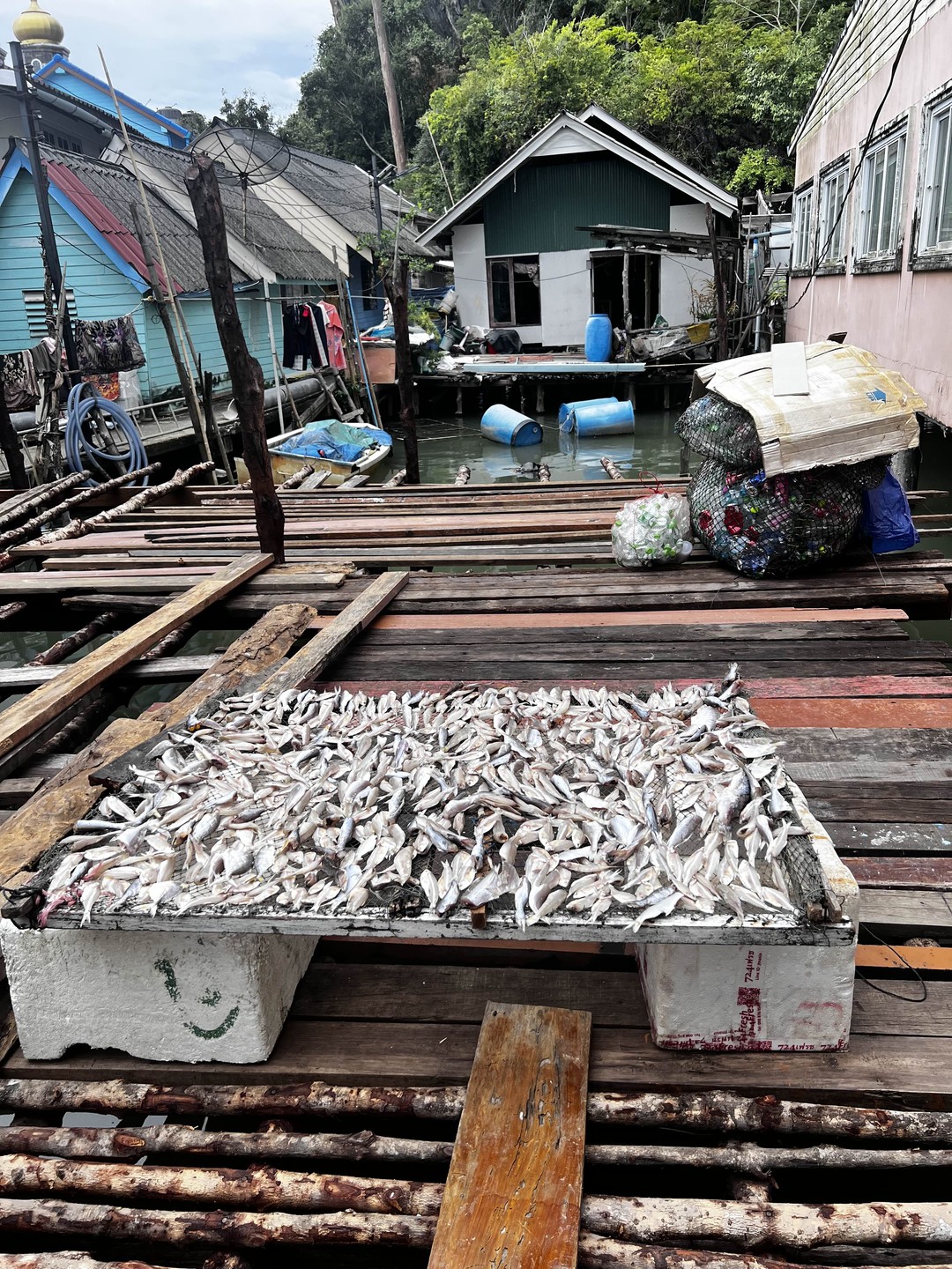 К острову Джеймса Бонда - на скоростной лодке (Смирнова)