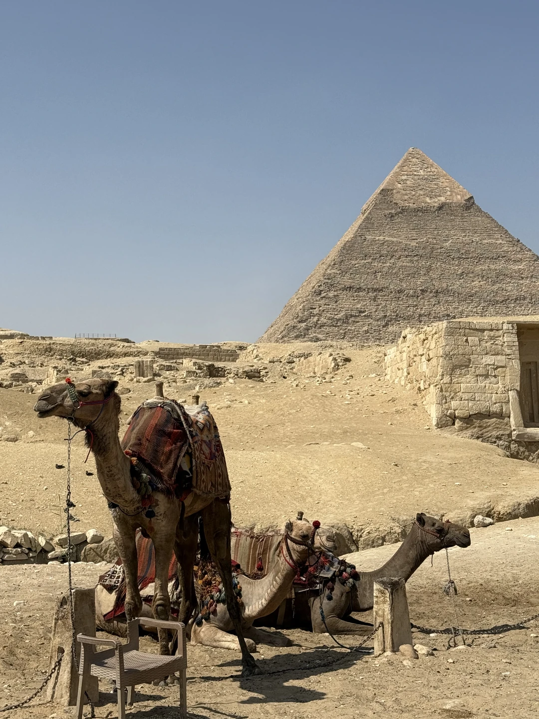 Позавчера были на экскурсии с Махмудом. С самого начала он забрал нас из отеля на хорошей