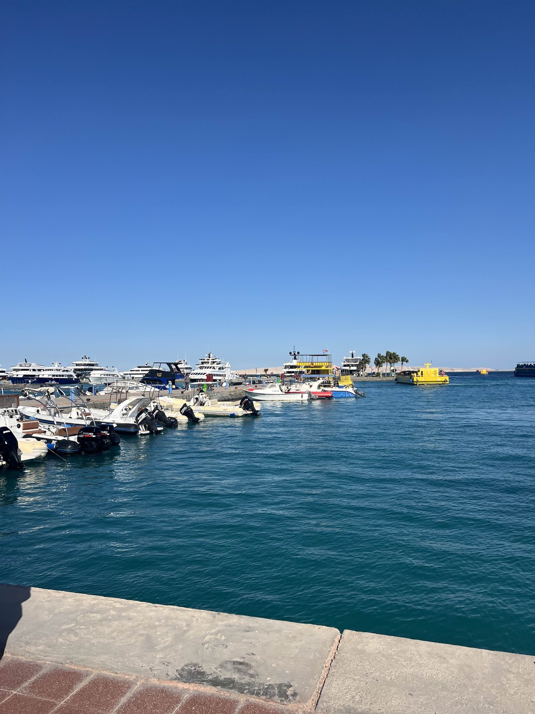 Хургада: самое главное за 5 часов (Жанна)