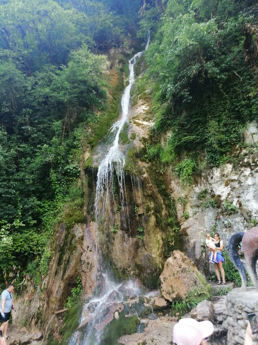 Групповая экскурсия из Сочи к символам Абхазии с посещением цитрусового сада (Елена)