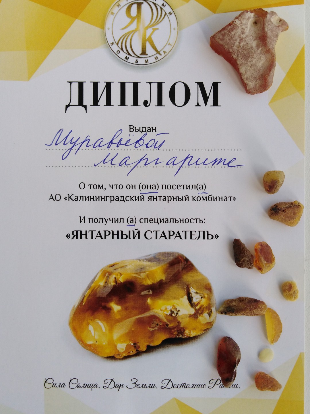 Путешествие по янтарному побережью из Калининграда (Елена)