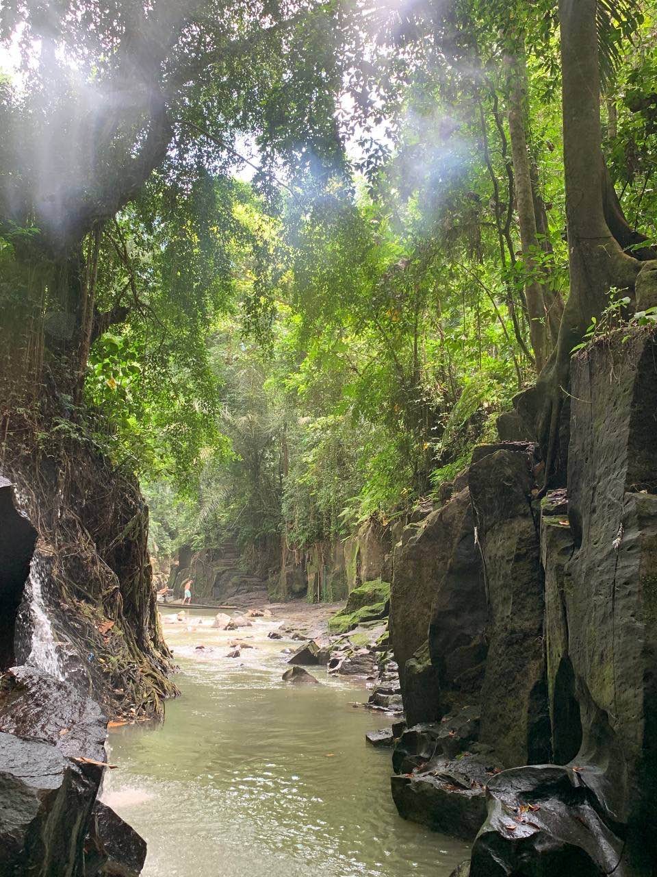 Бали: водопады в джунглях и древний храм (Наталья)