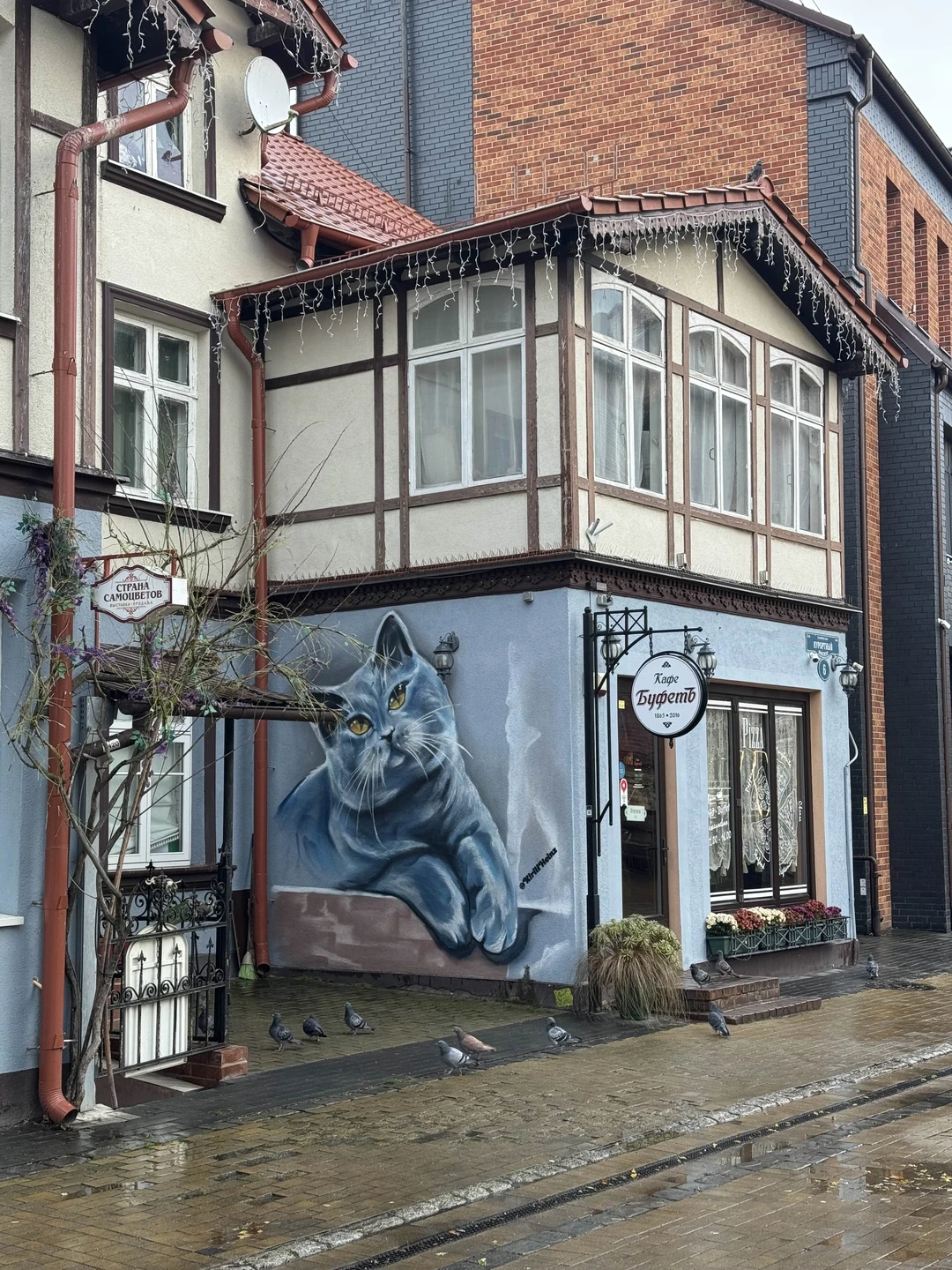 Мы провели чудесный день в Зеленоградске и Светлогорске в компании замечательного гида Елены. Это была по-настоящему