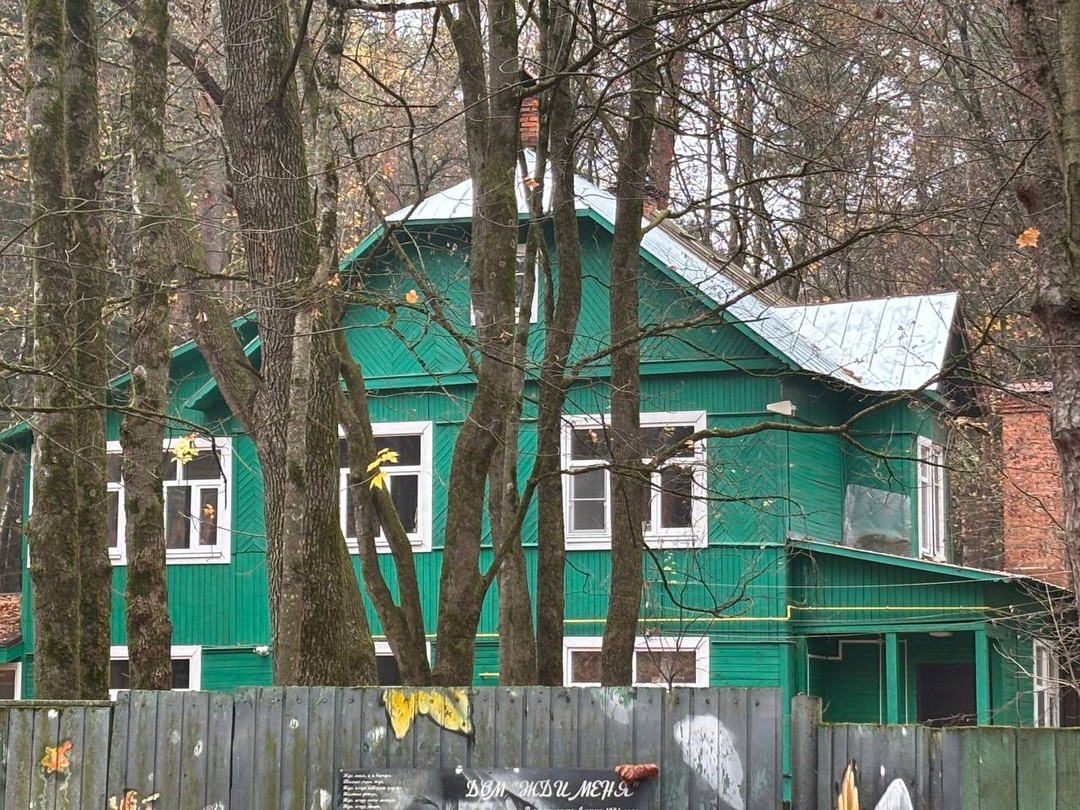 Переделкино с местным жителем и членом Союза писателей (Олег)