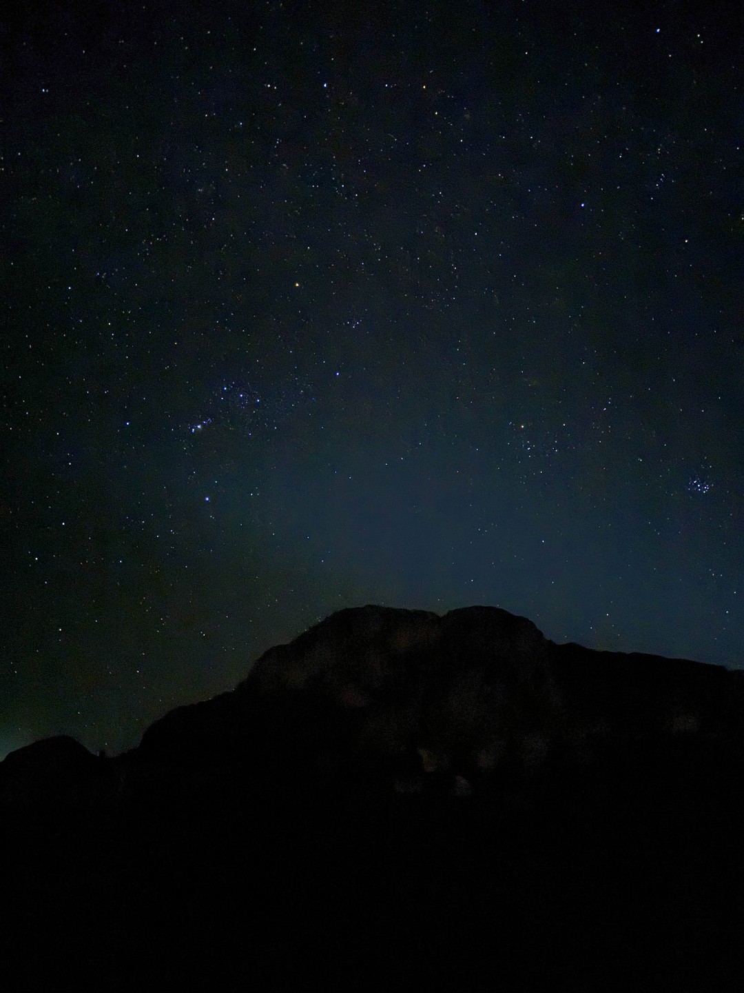 Экскурсия прошла хорошо